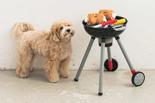 Benefits of the Different Types of Dog Toys
