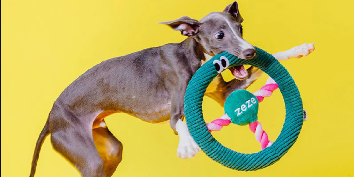 What toy do dogs love most?
