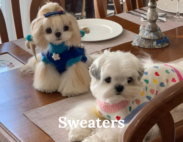 Sweaters