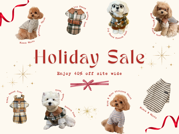 Apparel Holiday Sale 2024