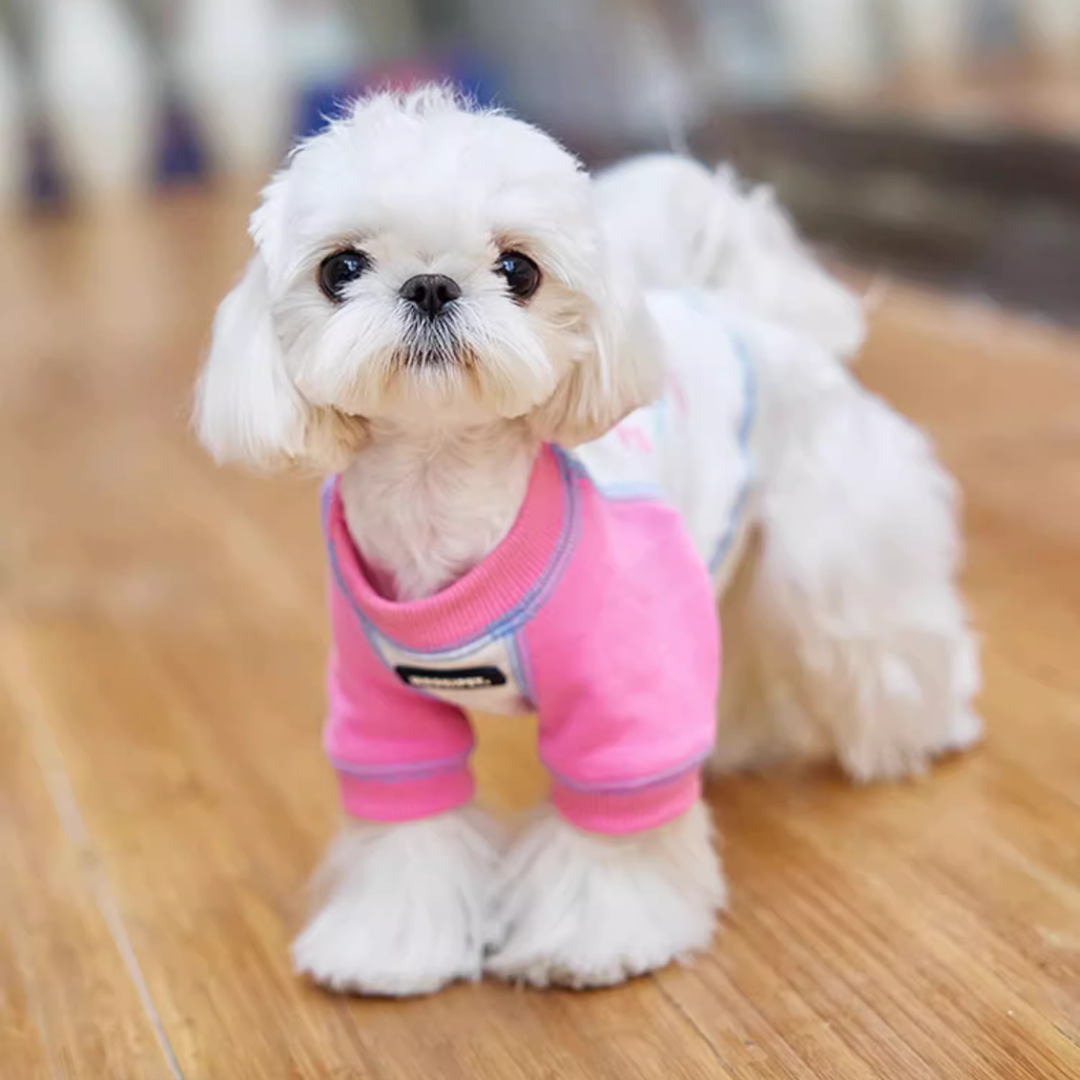 Sporty Pet Sweatshirt - FluffyCream