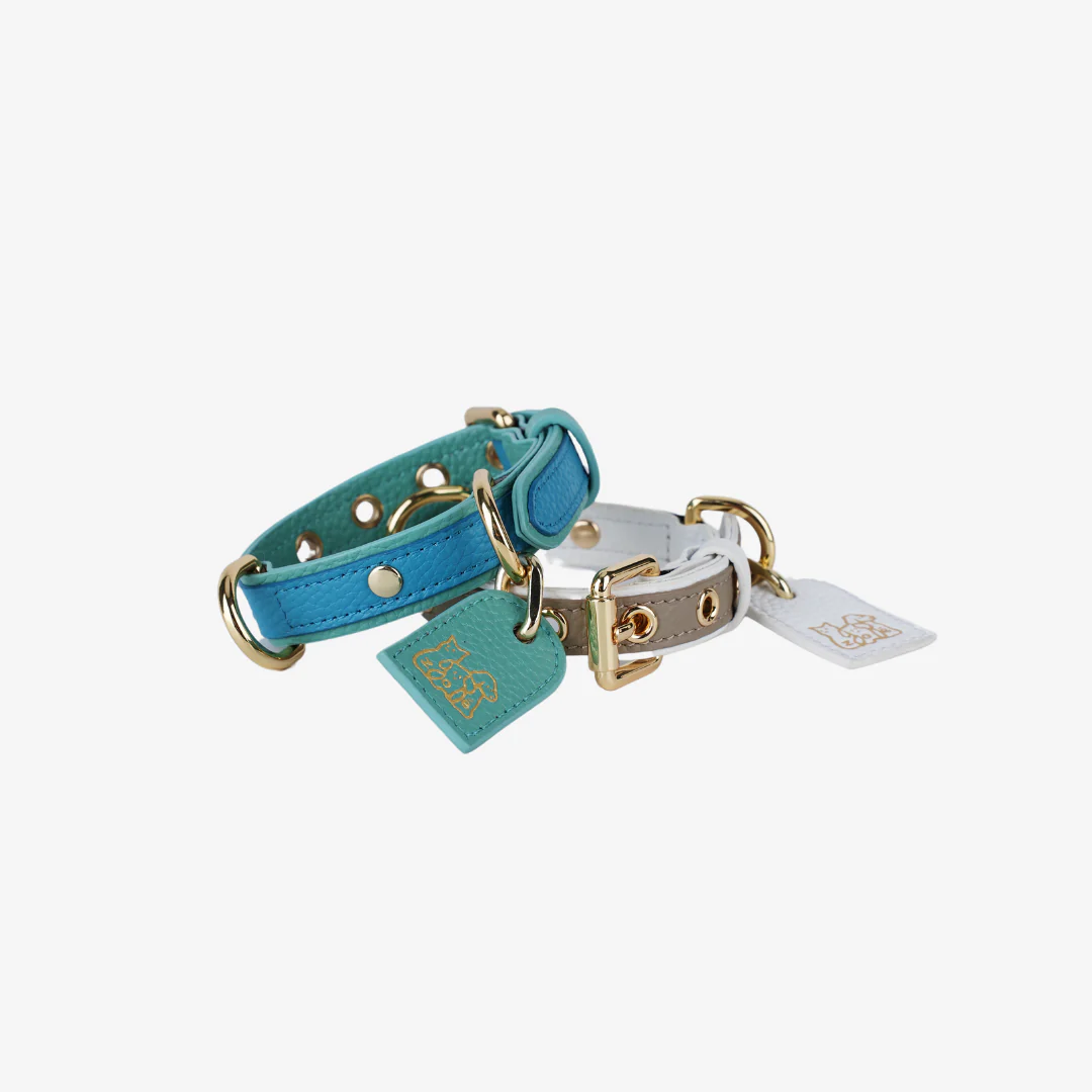 Color Space Pet Collars  - Green - FluffyCream