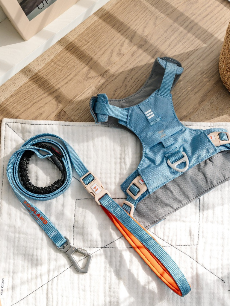 Ever After Harness