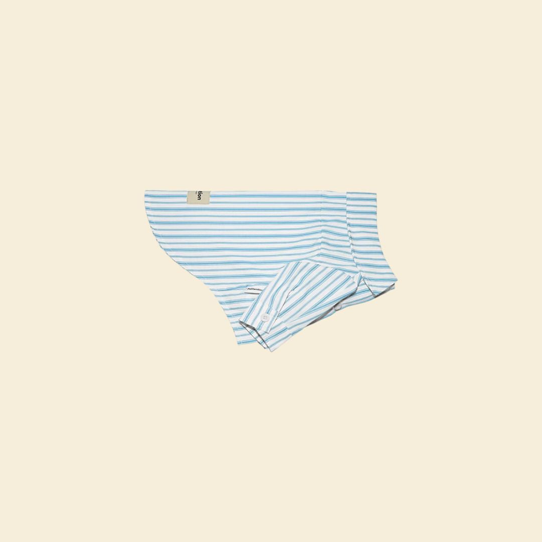 Blue Stripe Shirt - FluffyCream