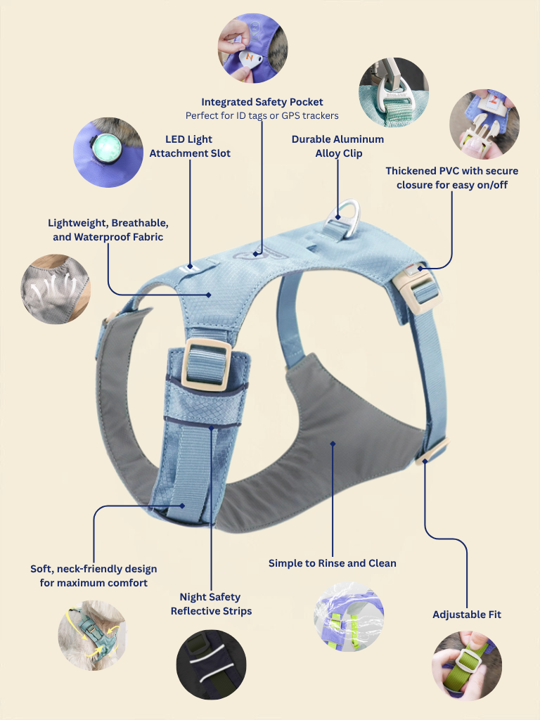 Ever After Harness