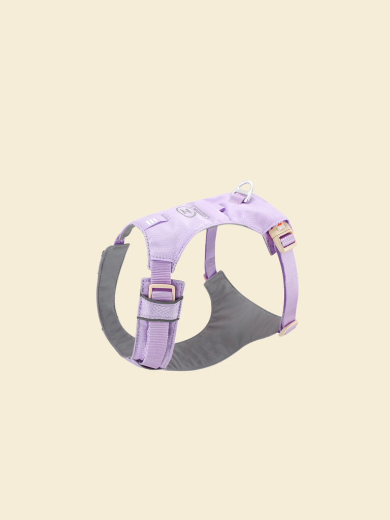Ever After Harness
