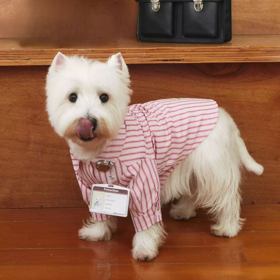 Pink Striped Shirt - FluffyCream