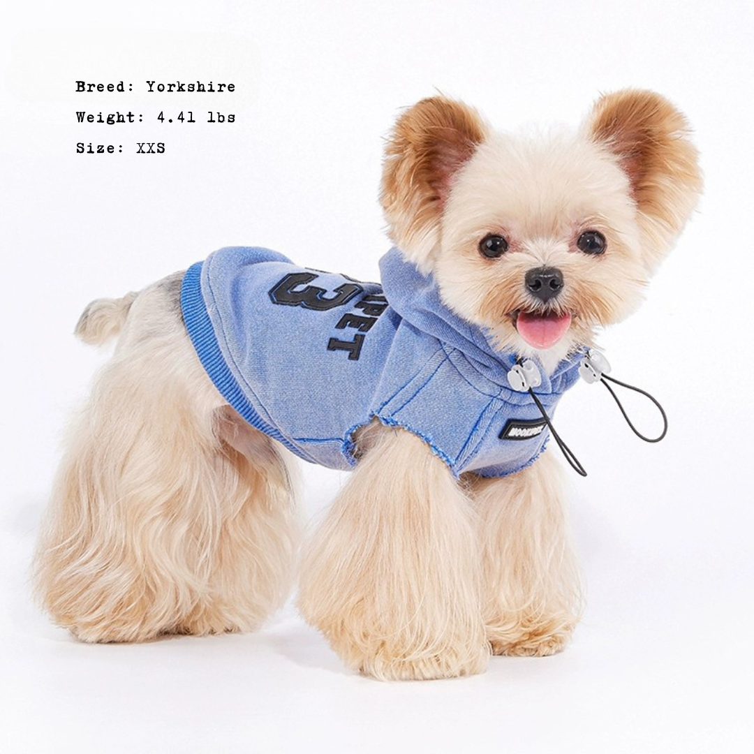 Washed Blue Pet Hoodie