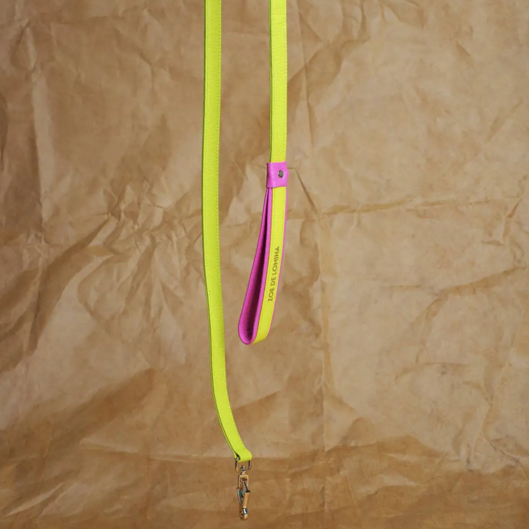 Color Space Pet Leashes  - Yellow - FluffyCream