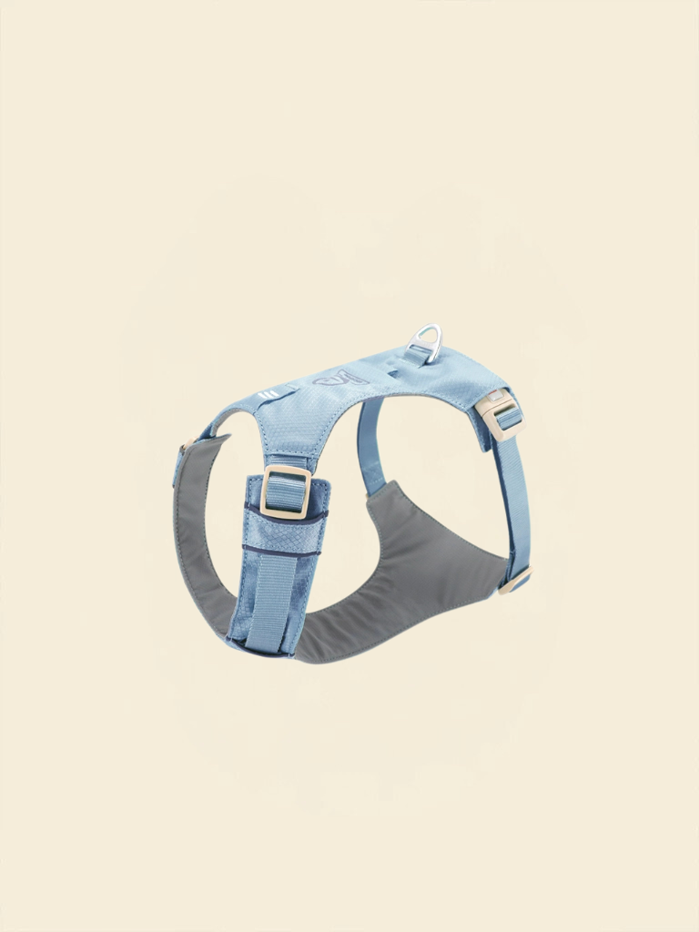 Ever After Harness