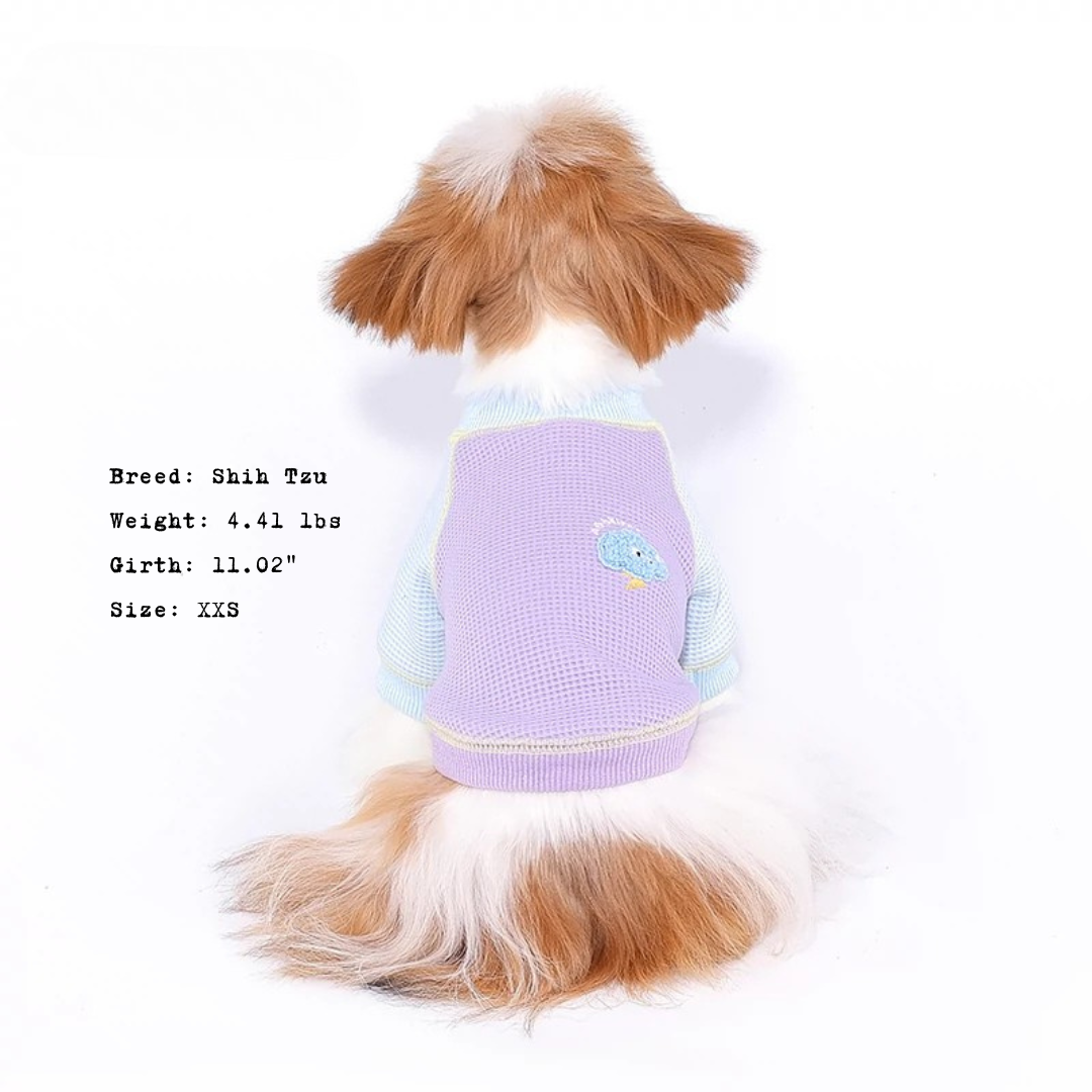 Cloudy Cuddle Sweatshirt