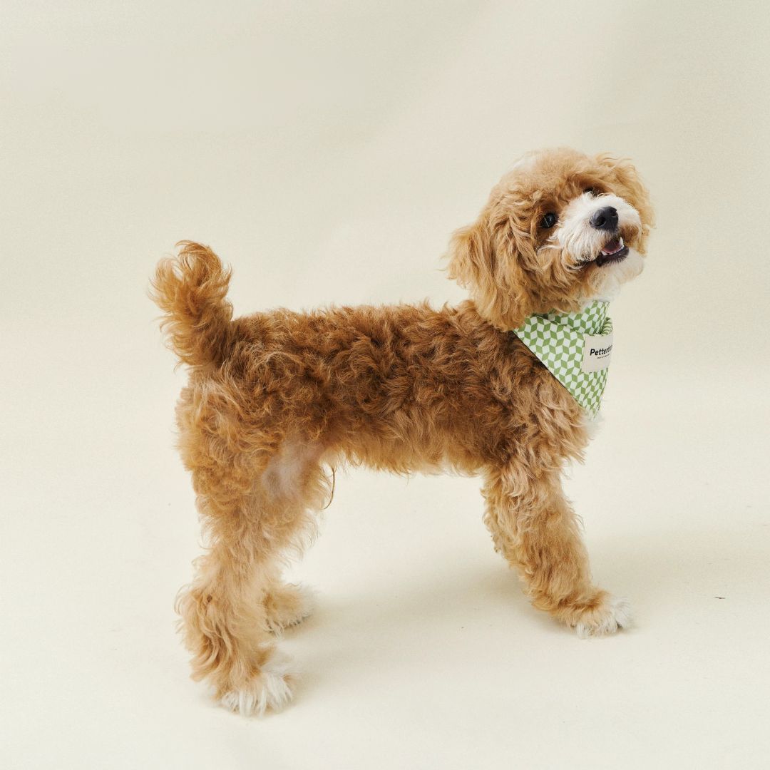 Minty Fresh Bandana