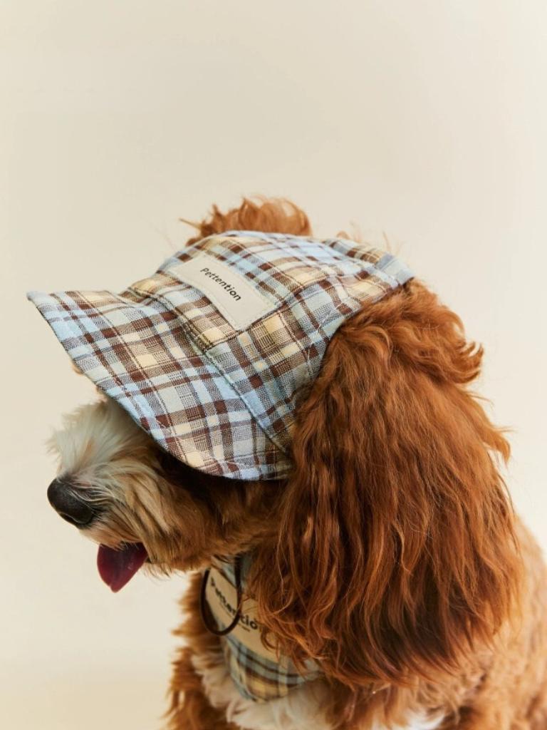 Lazy Sunday Cap