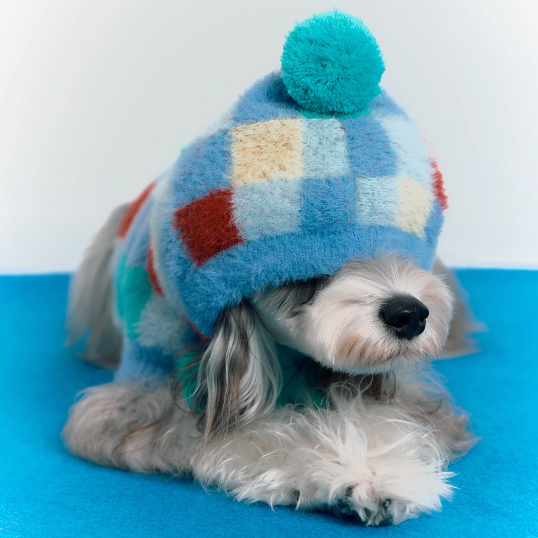 Colorful Checkered Pet Hoodie