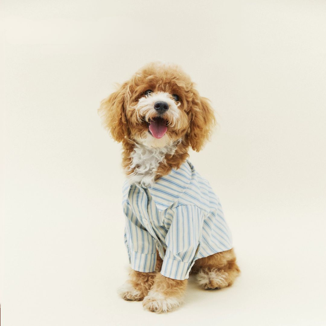 Blue Stripe Shirt - FluffyCream
