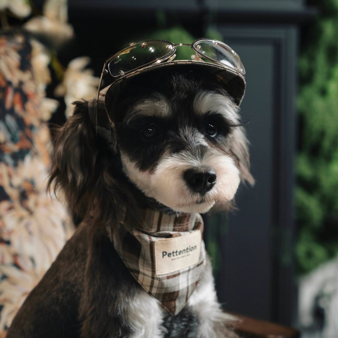 Urban Pup Plaid Bandana - FluffyCream