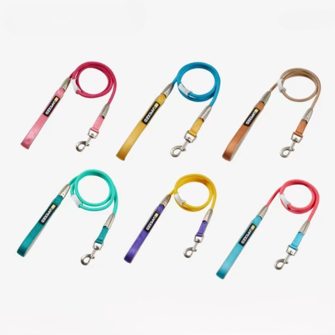 Candy Emotion Dog Leash