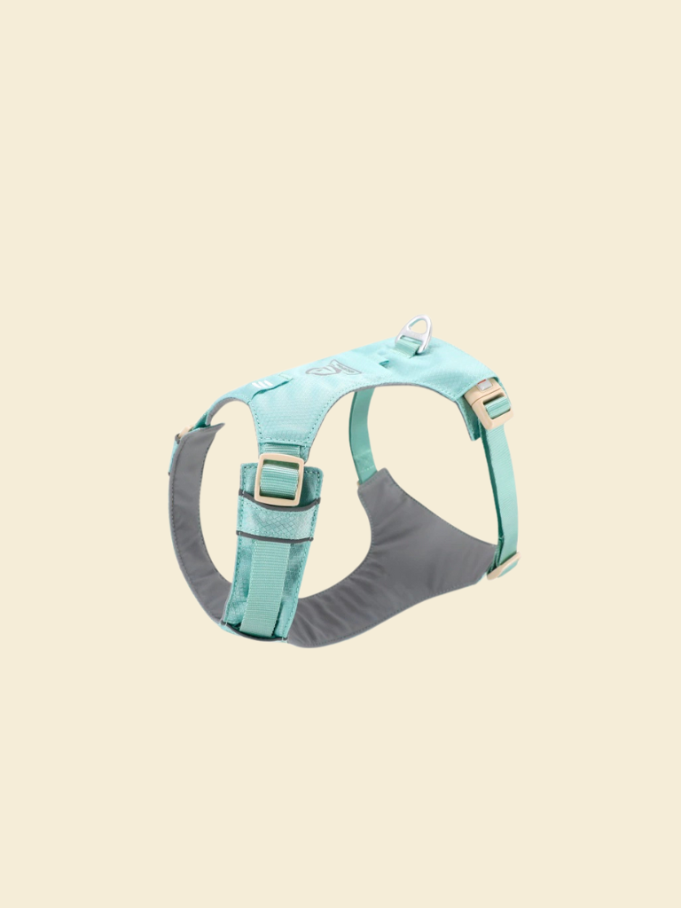 Ever After Harness