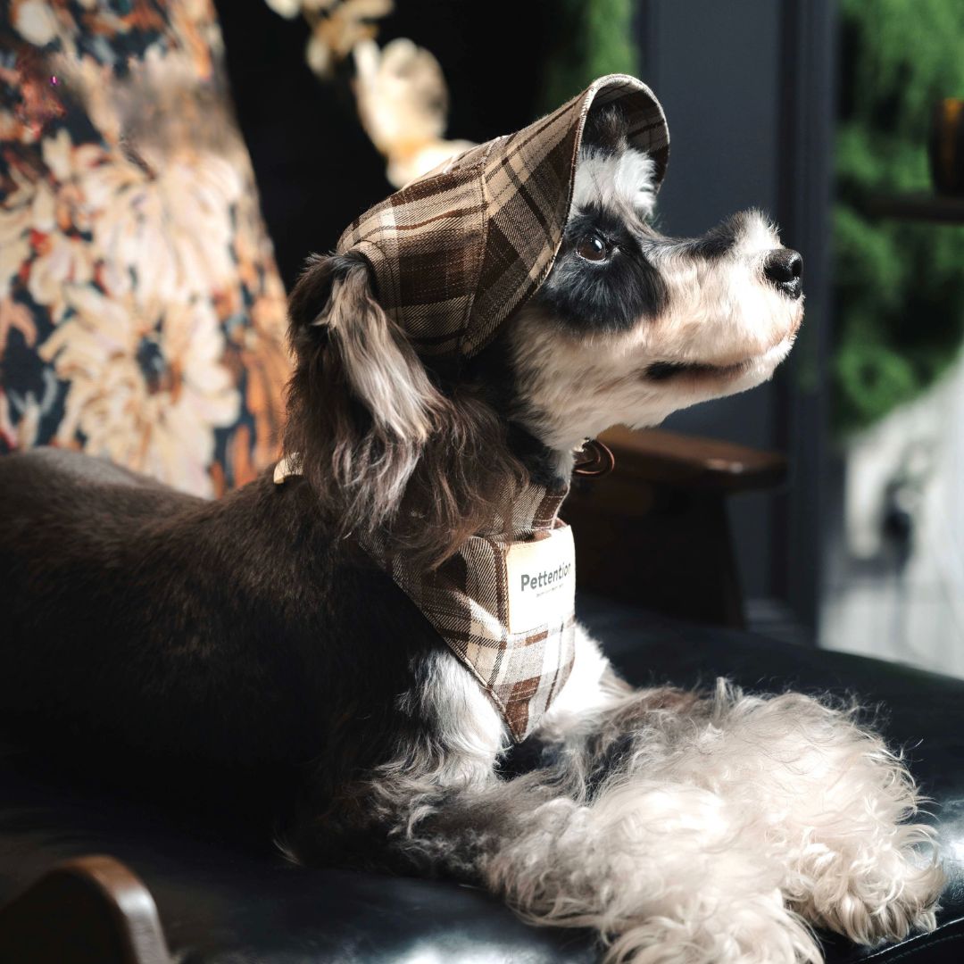 Urban Pup Plaid Bandana - FluffyCream