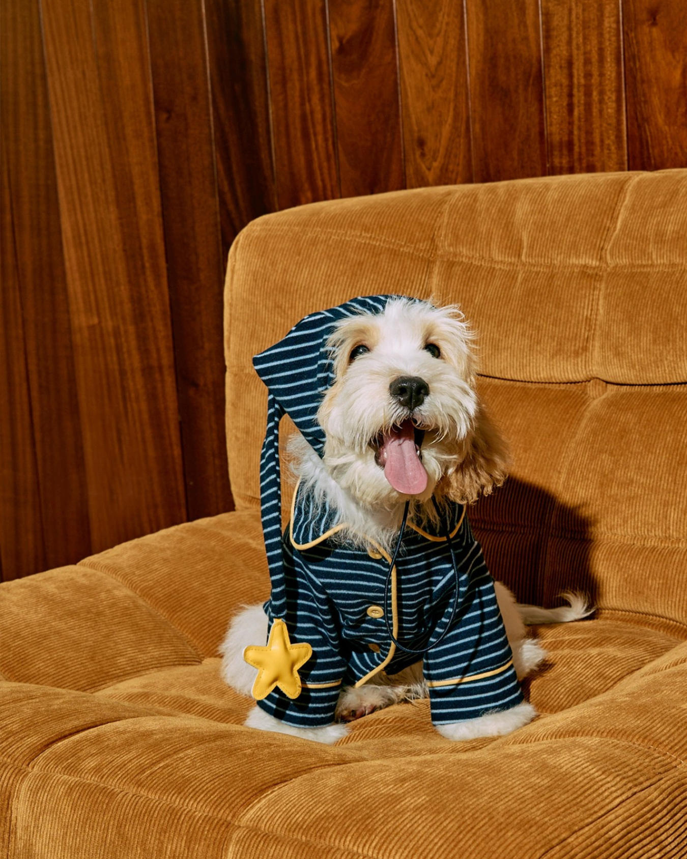 Hit Snooze, Hooman Pajamas — Midnight Blue - FluffyCream