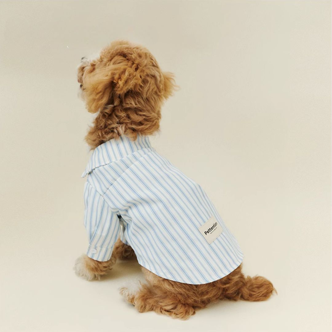 Blue Stripe Shirt - FluffyCream