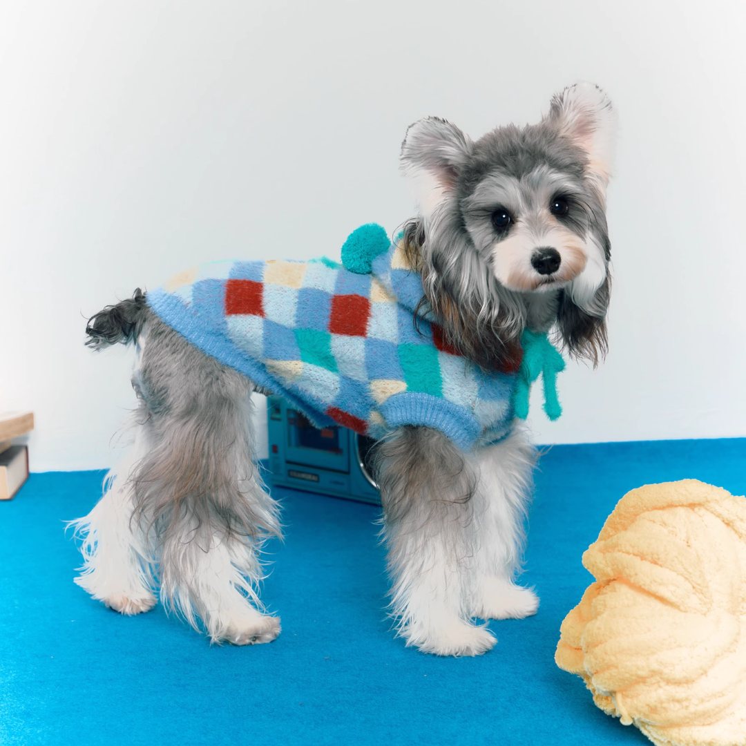 Colorful Checkered Pet Hoodie