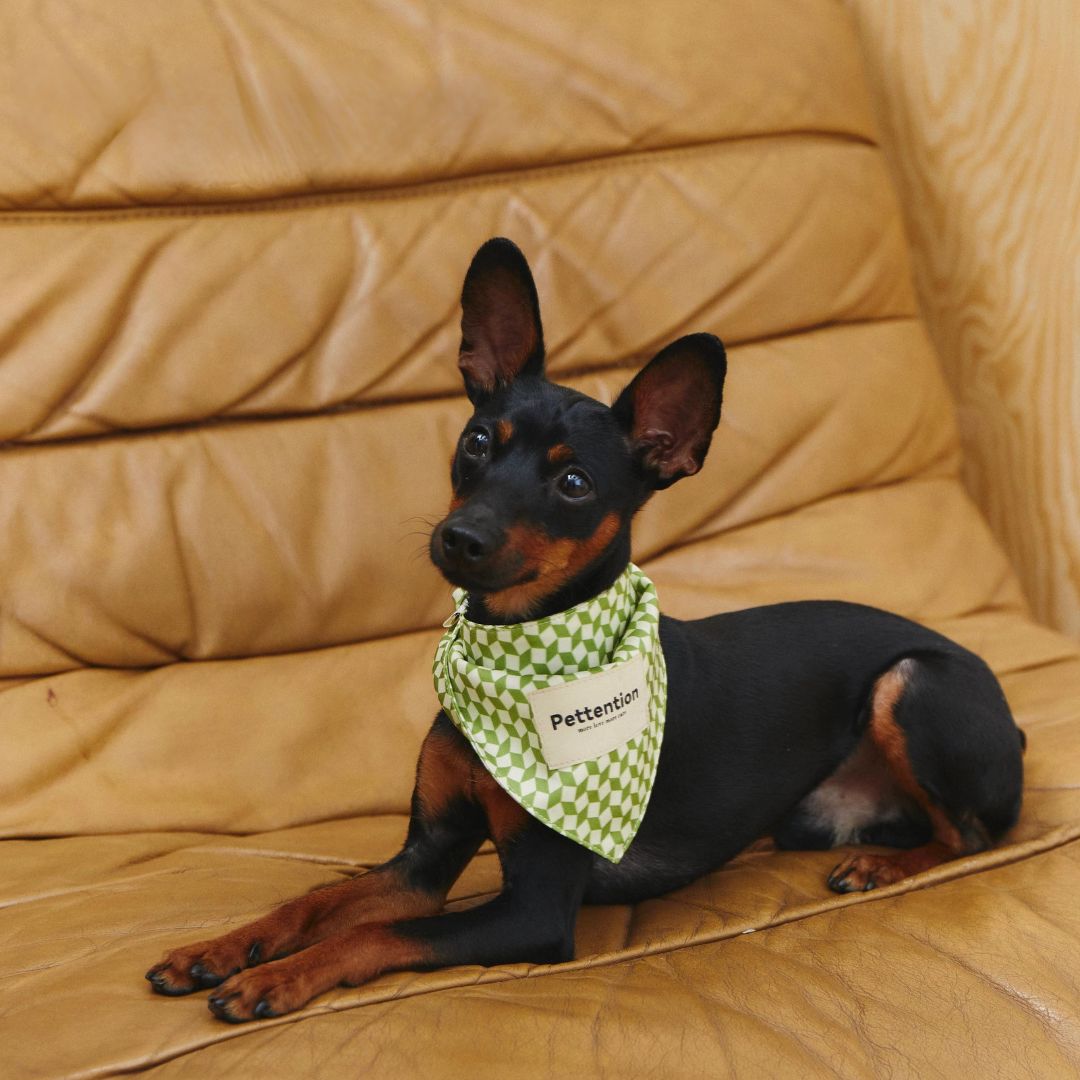 Minty Fresh Bandana