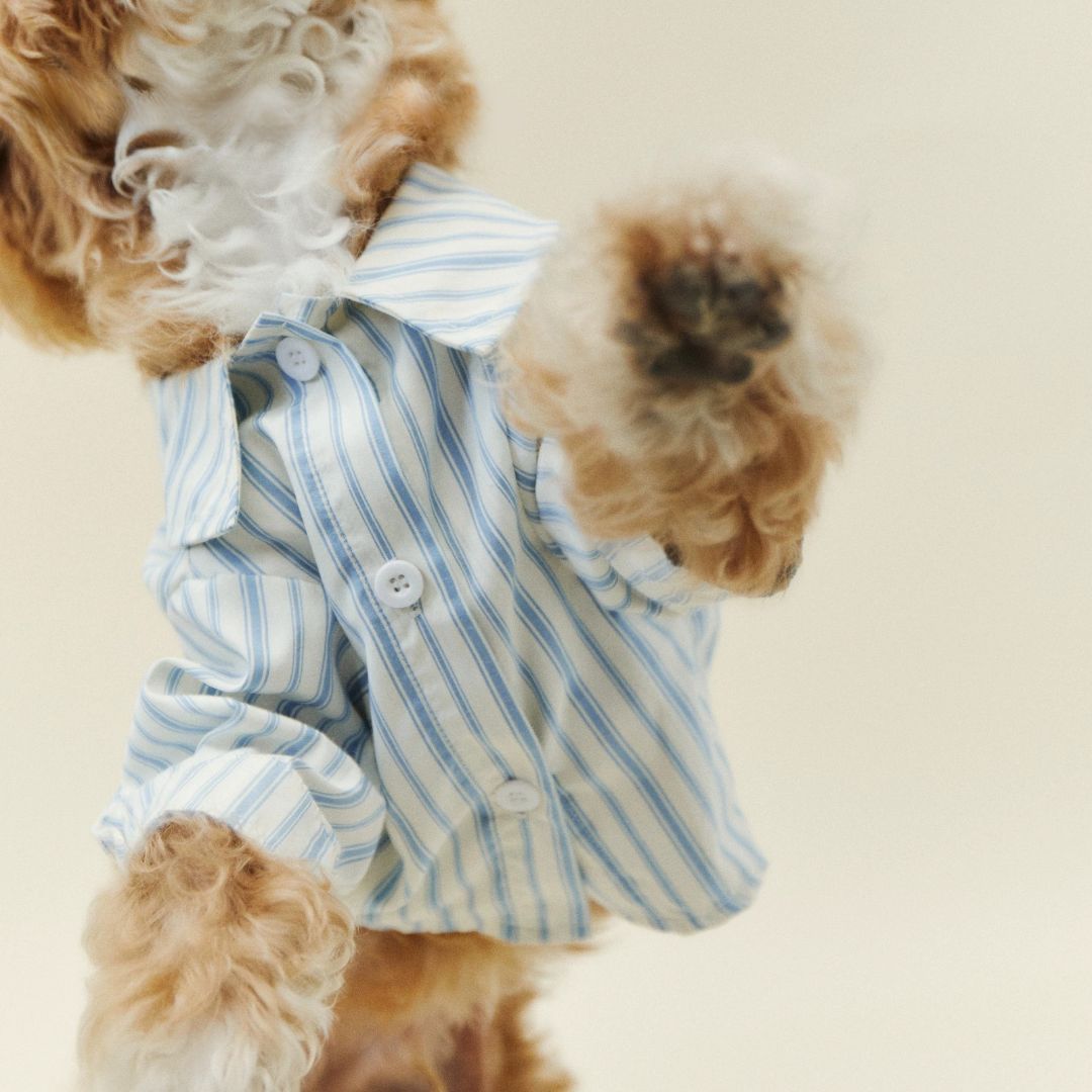 Blue Stripe Shirt - FluffyCream