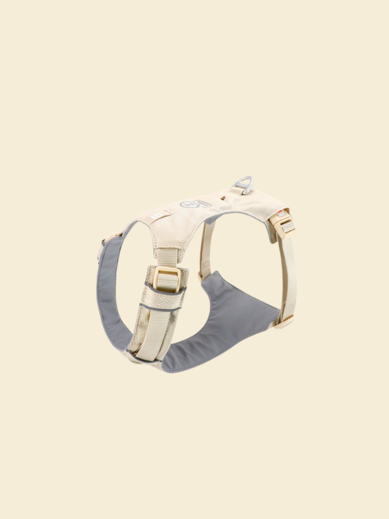 Ever After Harness