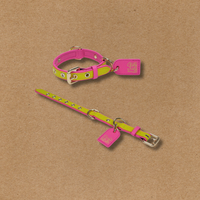 Color Space Pet Collars  - Yellow - FluffyCream