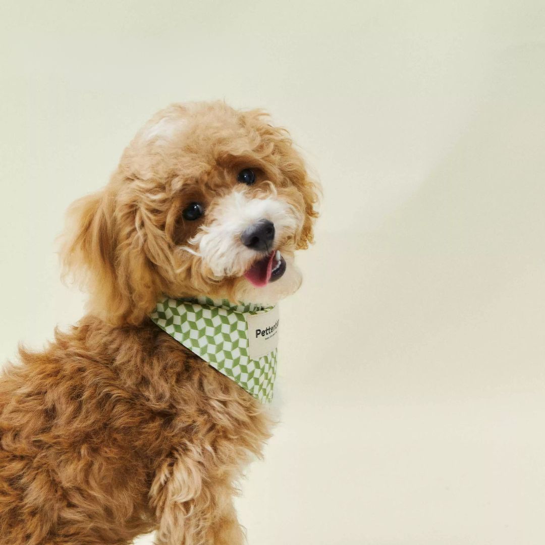 Minty Fresh Bandana