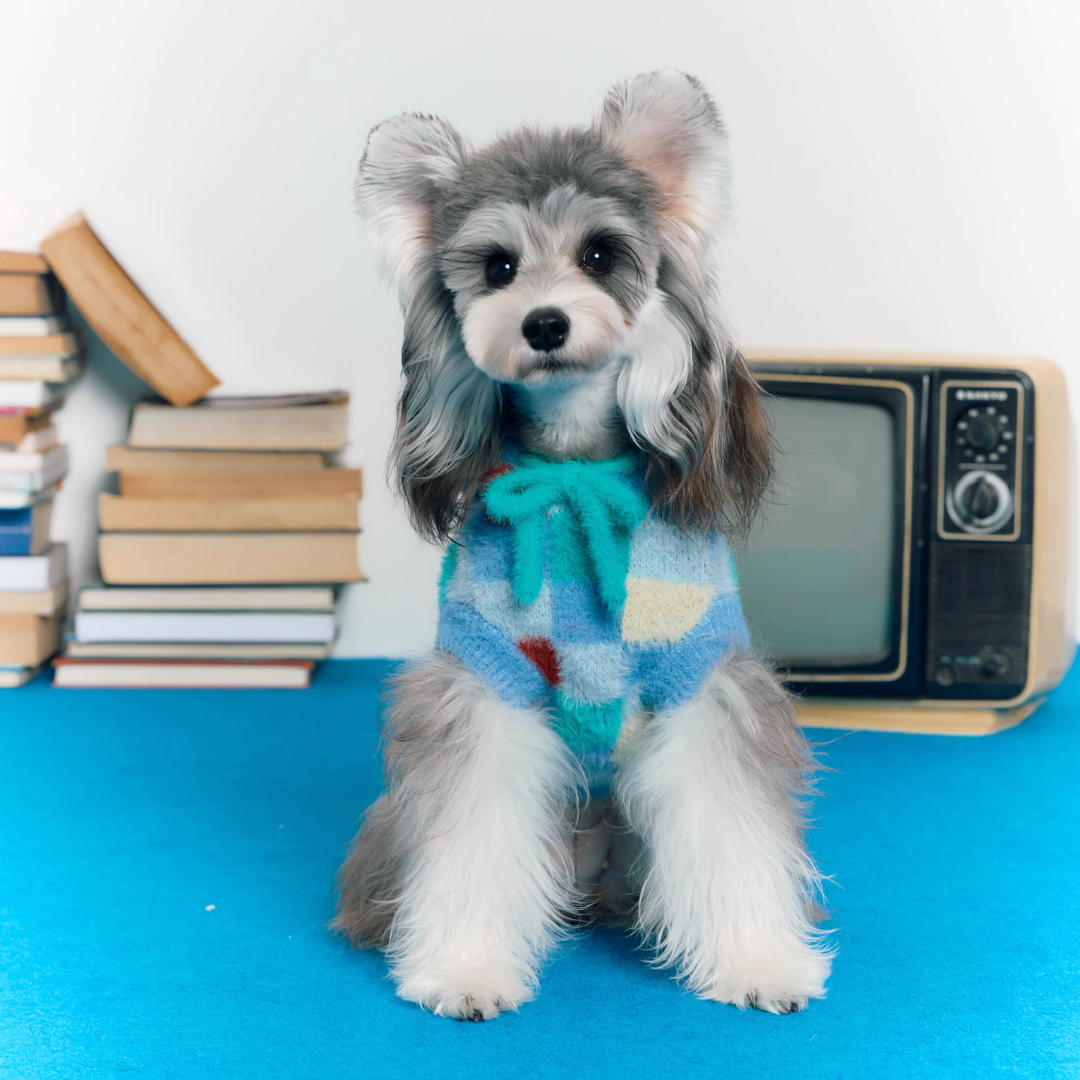 Colorful Checkered Pet Hoodie