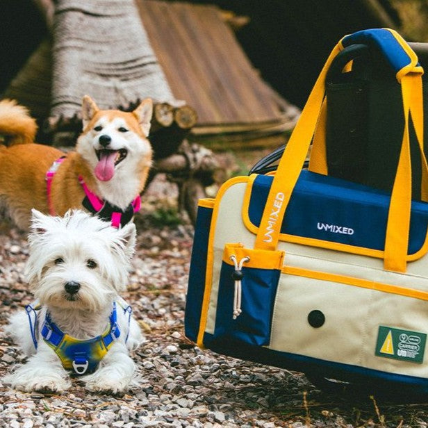 UrbanPaws Expandable Pet Carrier