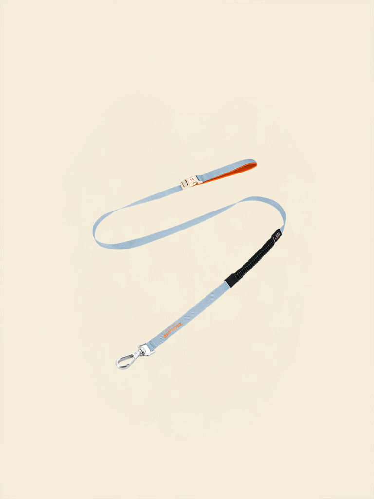 Ever After Leash