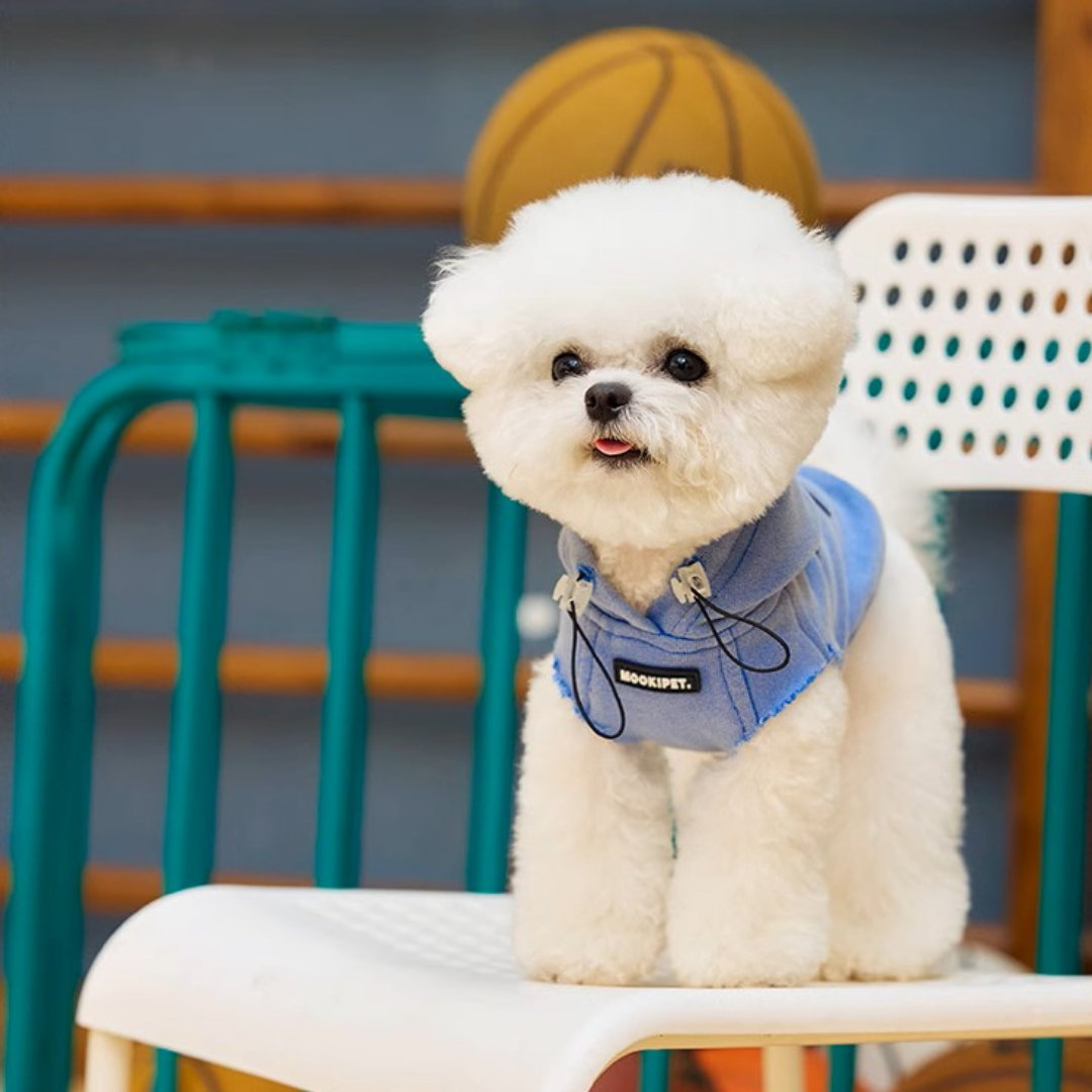 Washed Blue Pet Hoodie