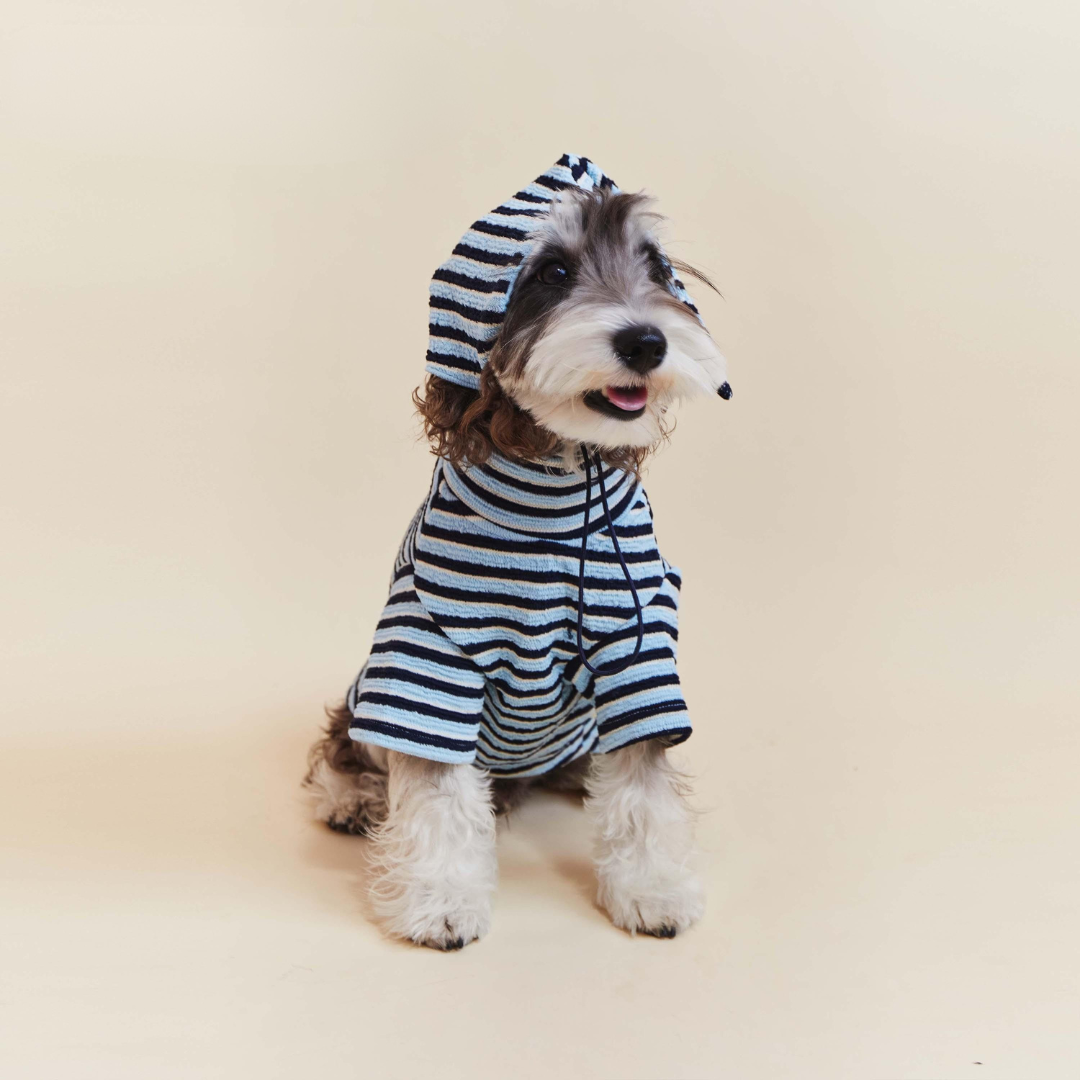 Premium Blue Stripes Pet Hoodie SET