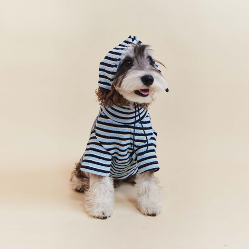 Premium Blue Stripes Pet Hoodie - FluffyCream