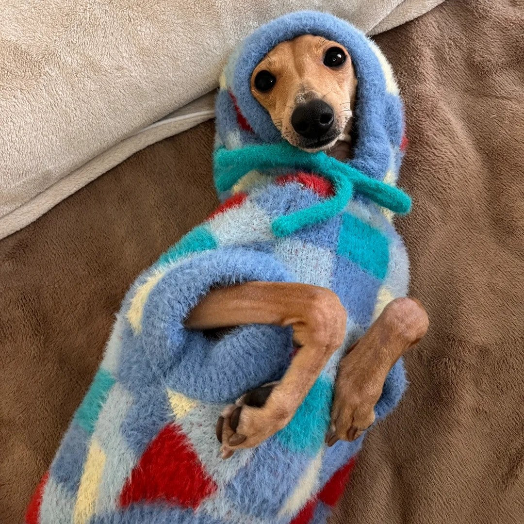 Colorful Checkered Pet Hoodie