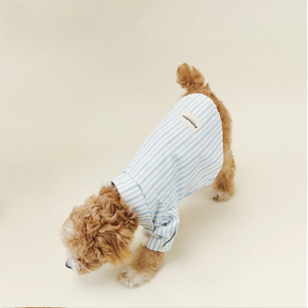Blue Stripe Shirt - FluffyCream