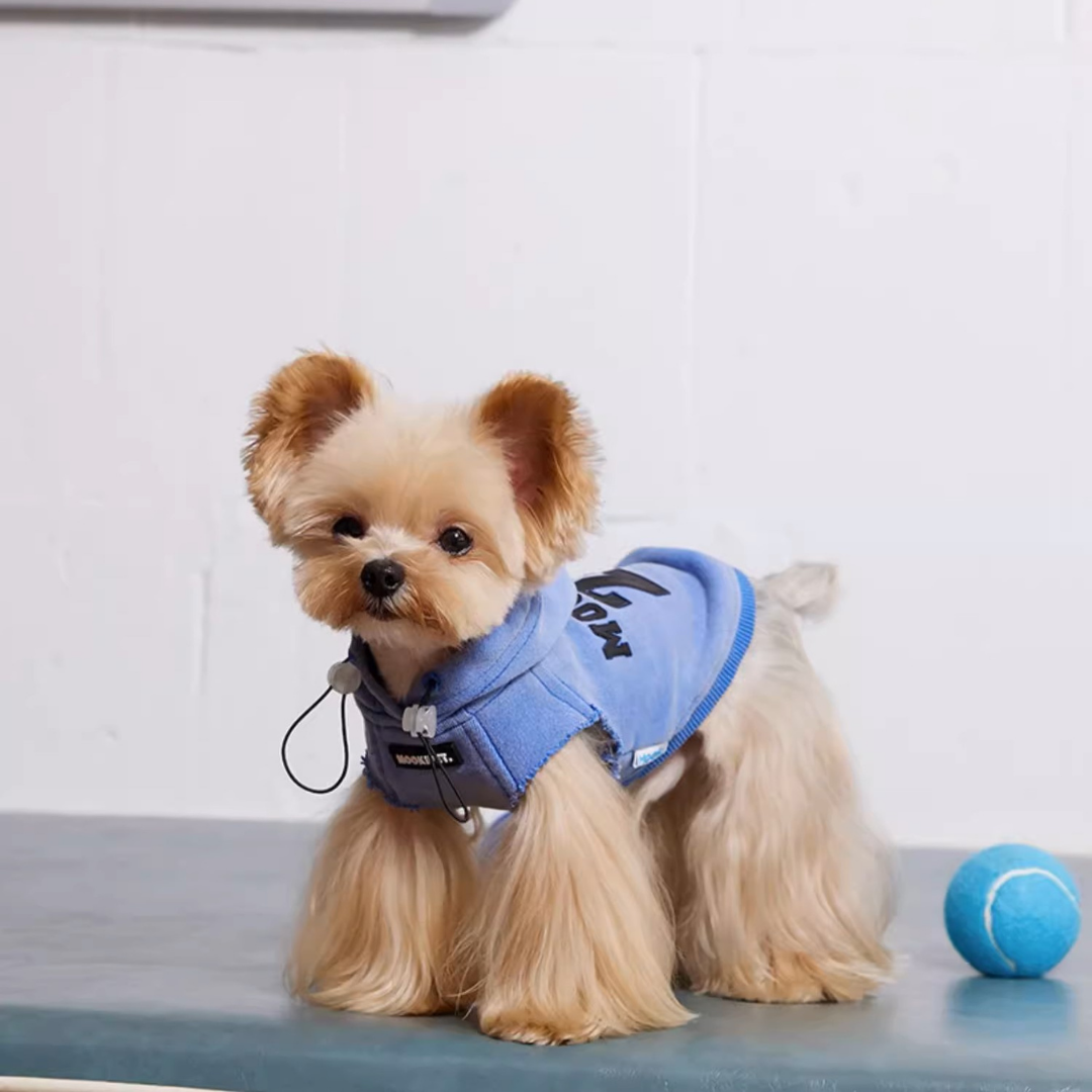 Washed Blue Pet Hoodie