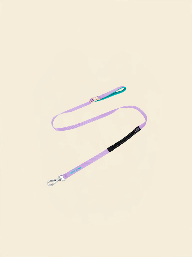 Ever After Leash