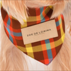 The Kensington Bandana - Highland Rainbow