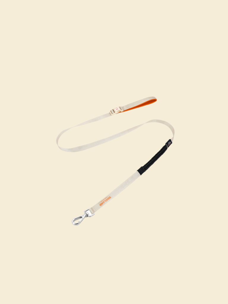 Ever After Leash