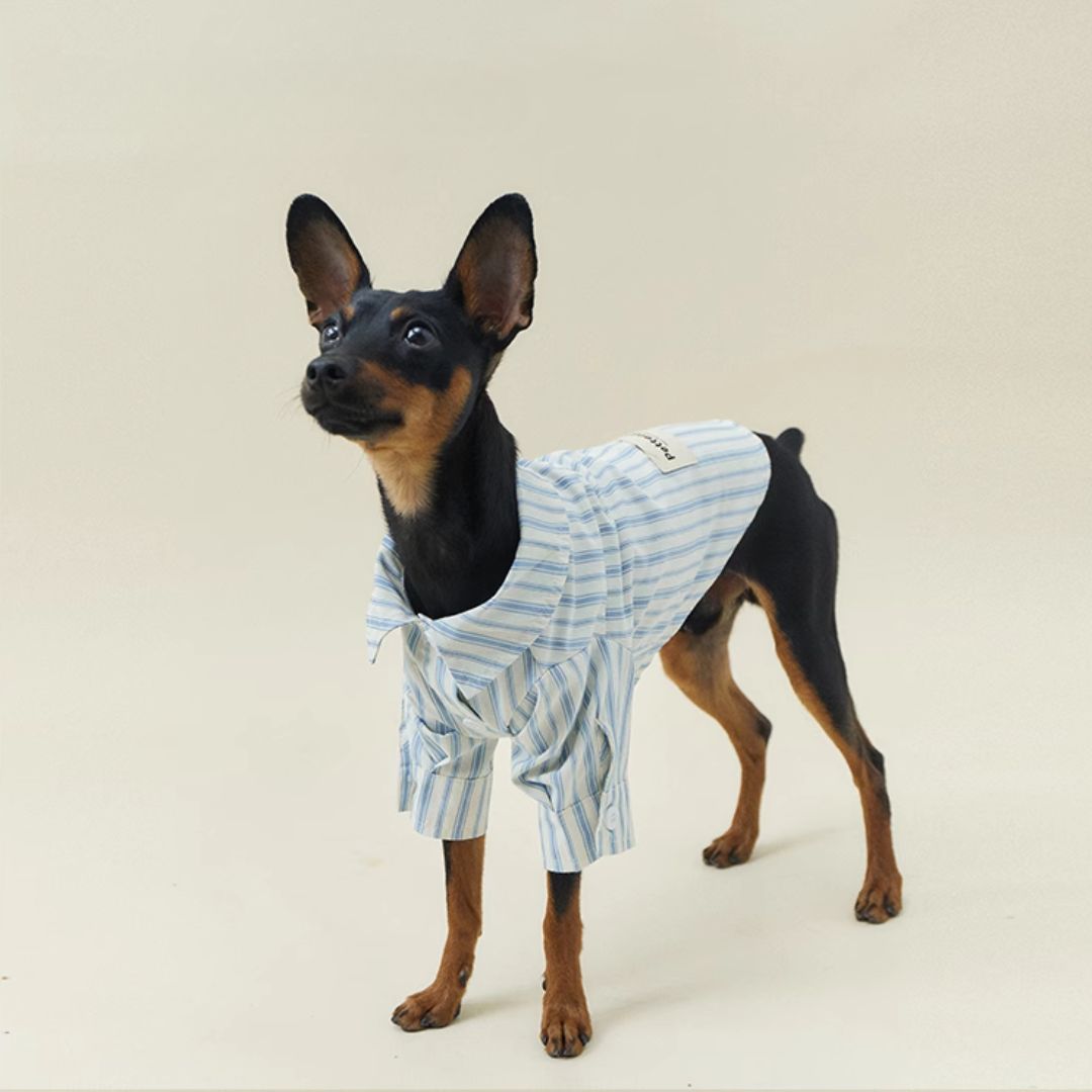 Blue Stripe Shirt - FluffyCream