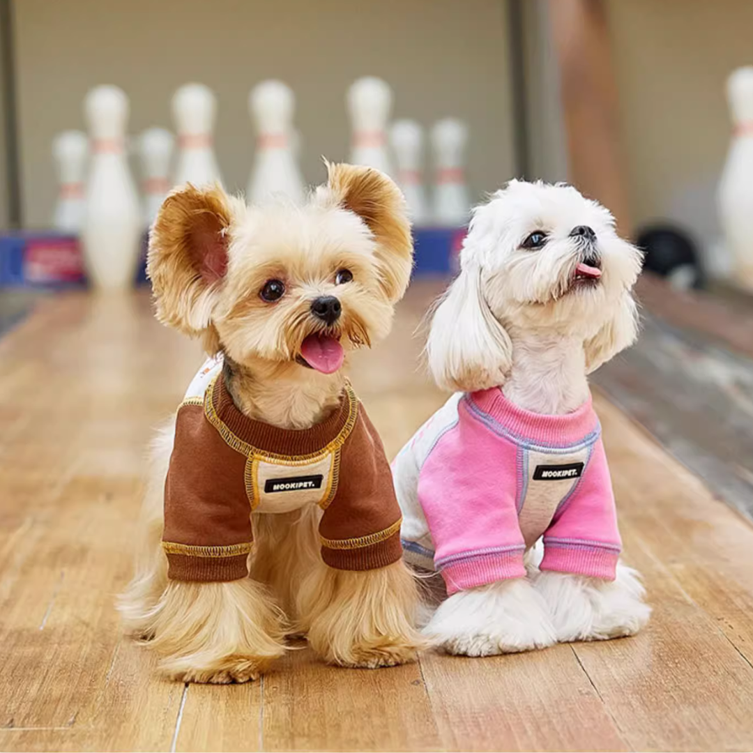 Sporty Pet Sweatshirt - FluffyCream