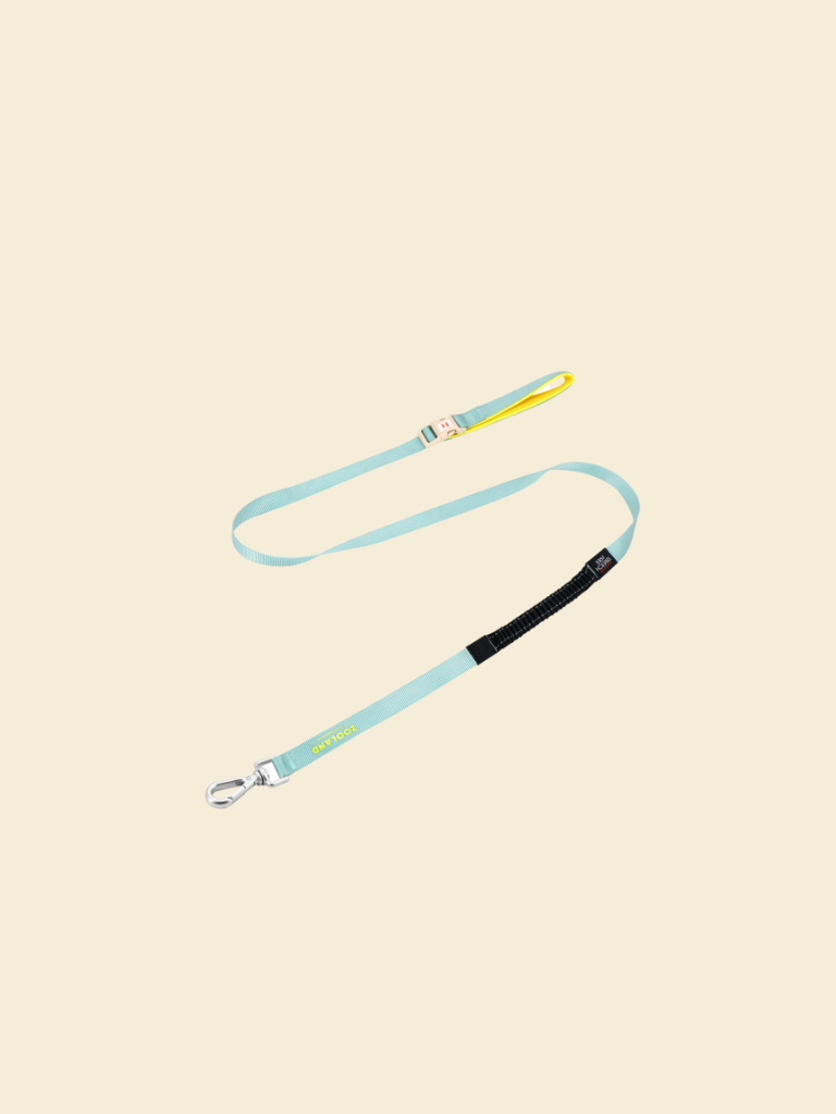 Ever After Leash