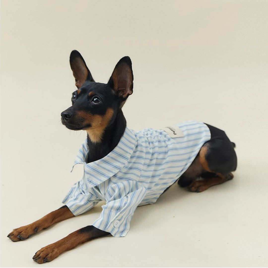 Blue Stripe Shirt - FluffyCream