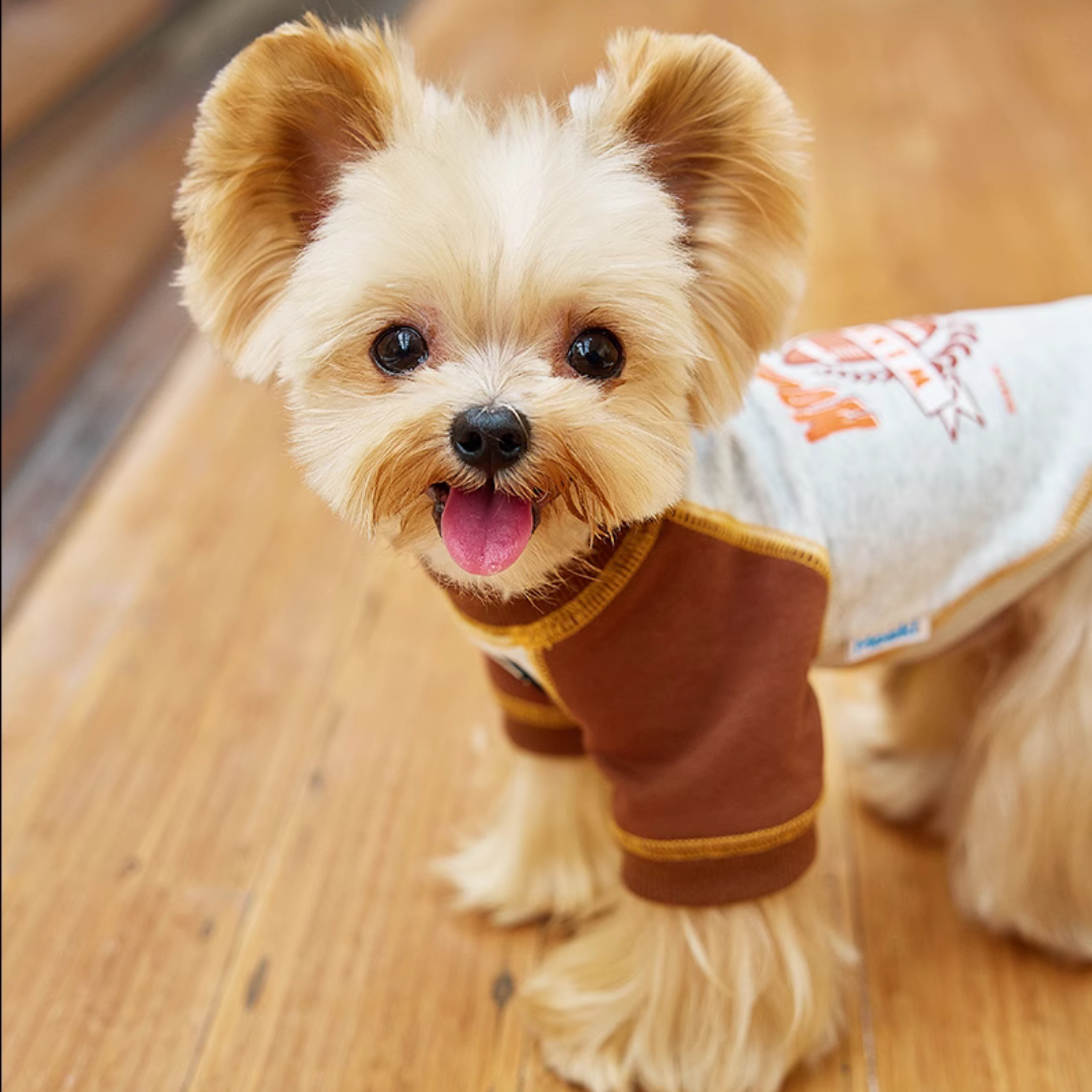 Sporty Pet Sweatshirt - FluffyCream