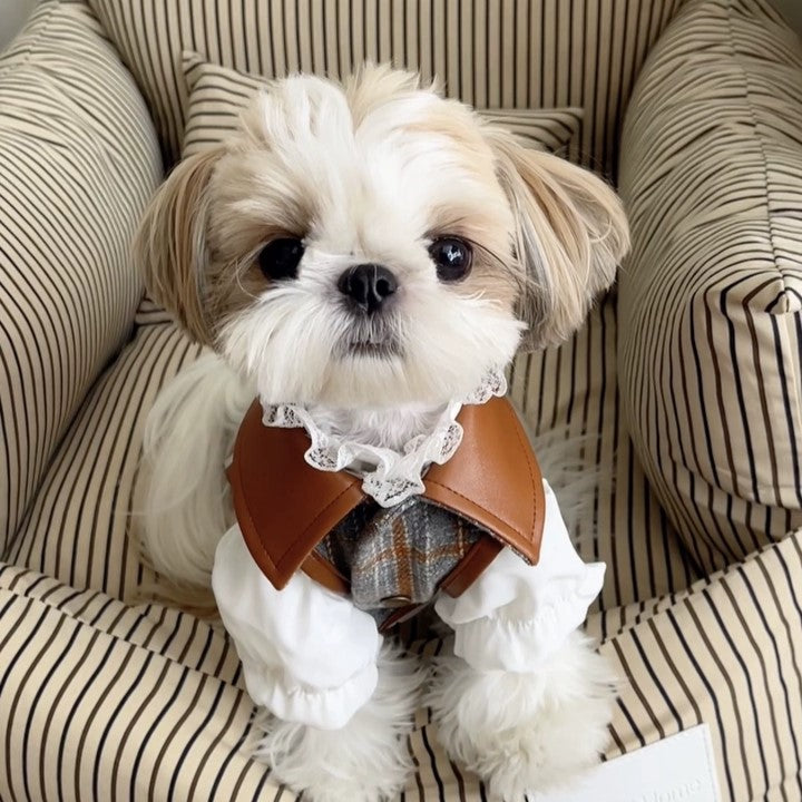 Brown Beige Plaid Vest