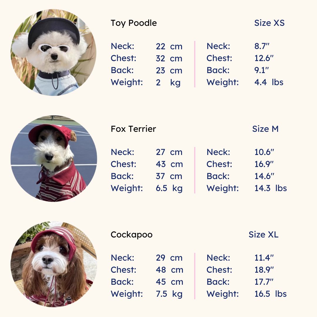 Model Information